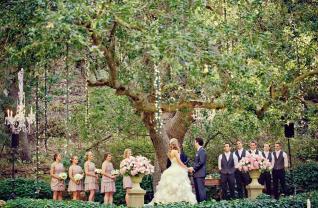 wedding-celebrants